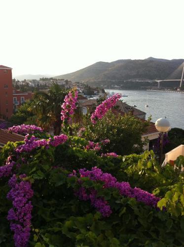Apartments Vila Dana Dubrovnik Room photo